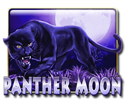 Panther Moon Game Image