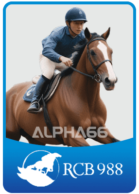 RCB988